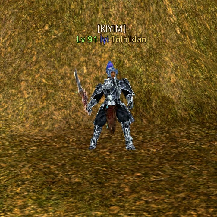 tolhildan06