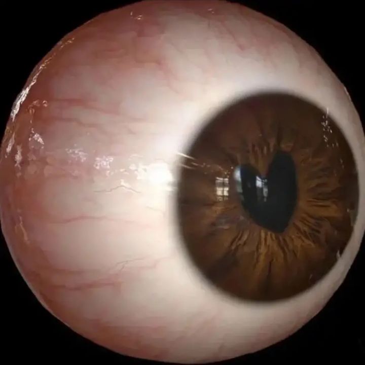 0.musiceye.0