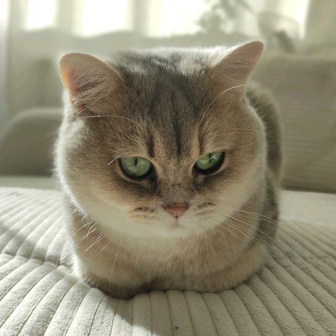 nanuli_nala