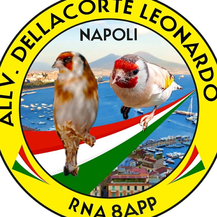 leonardo.dellacor