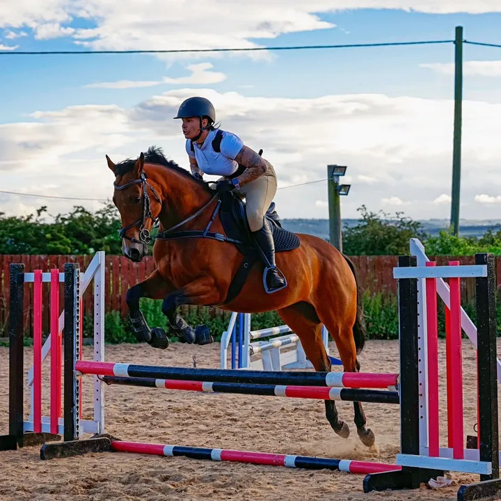 @justanotherexracehorse